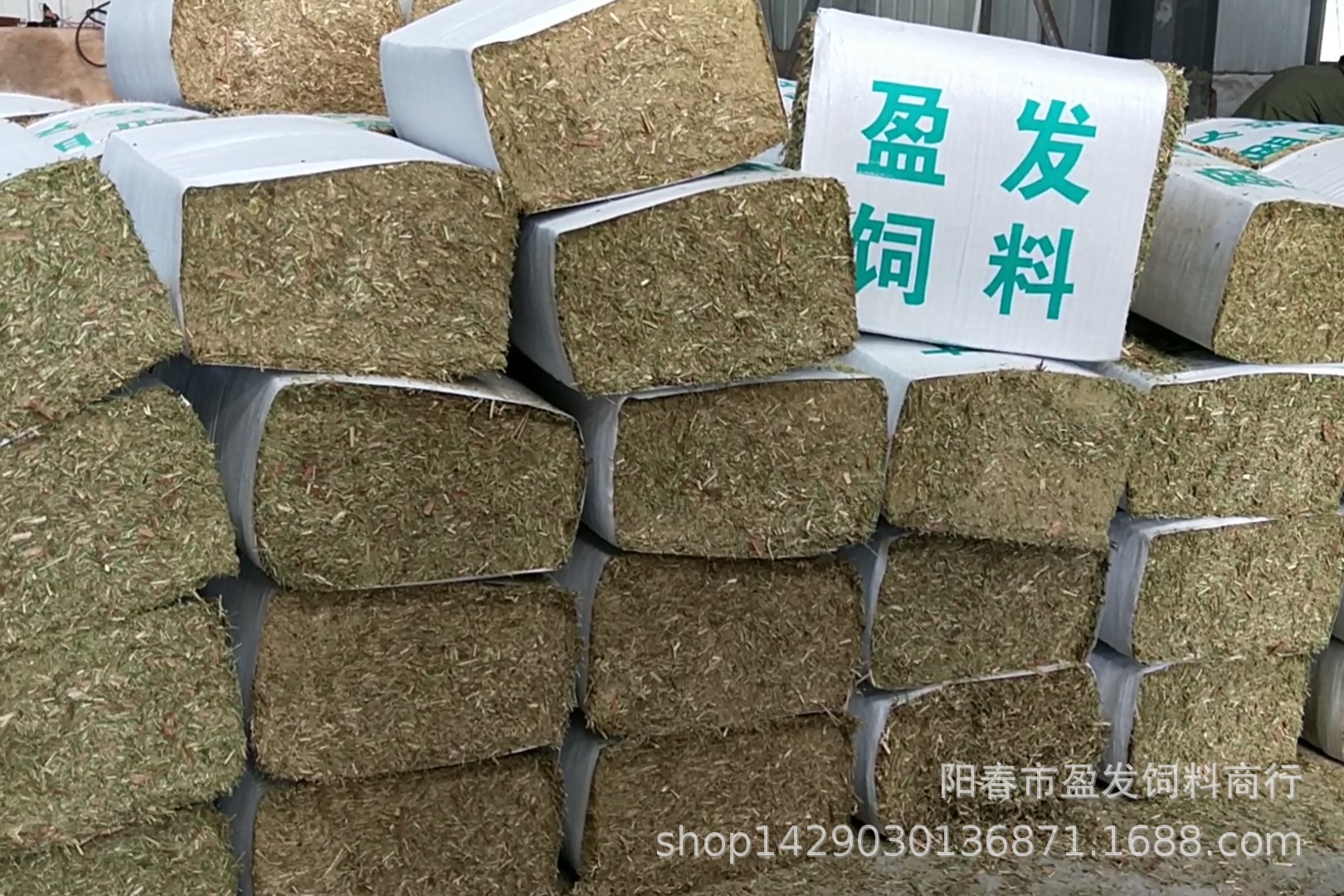 2、全國牛飼料銷售排名