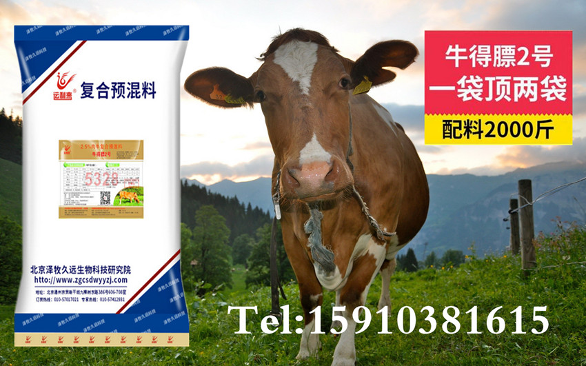 1、育肥牛飼料配方